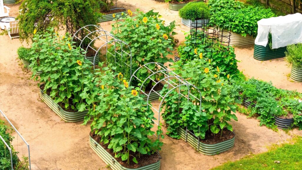 Vego Garden- Discover Vego Garden-s summer solution raised beds cover kits precision irrigation