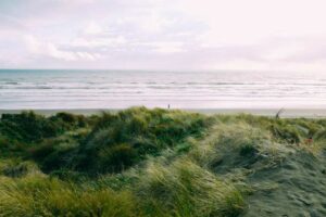field-green-grass-near-sea-beautiful-cloudy-sky-1