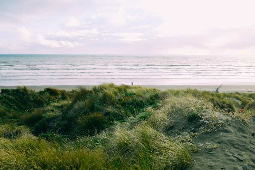field-green-grass-near-sea-beautiful-cloudy-sky-1