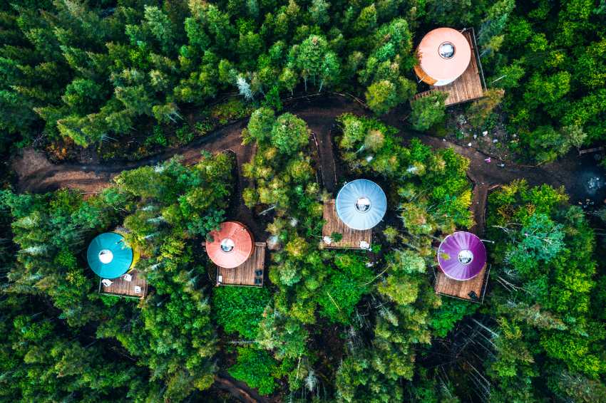 high-angle-view-trees-plants-forest-1