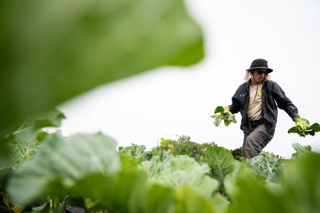 CTC-L-LGBTQ-farming078-231254322-07fdbd