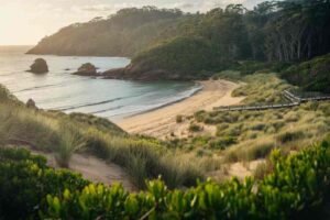 Sunshine-Coast-1