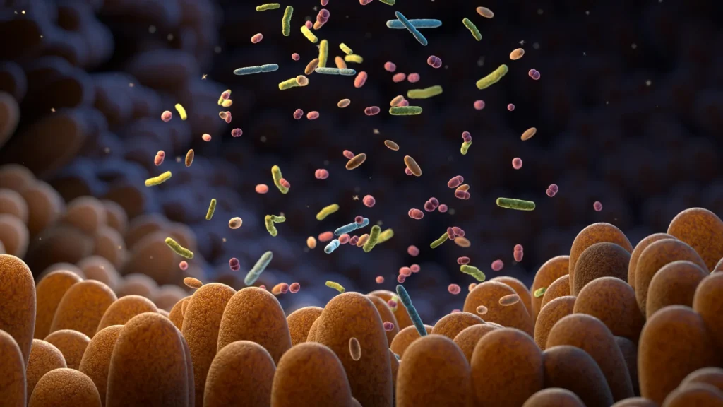intestinal-bacteria-human-gut-microbiome