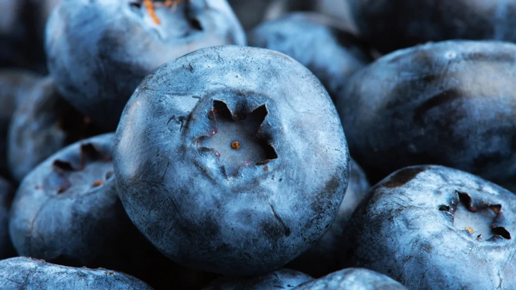 blueberries-macro