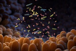 shutterstock-2253001209-gut-microbiome-crop