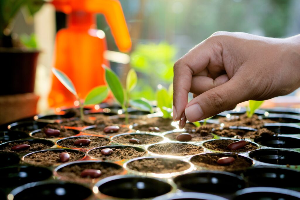 88842259007-livingspaceseeds-20260224