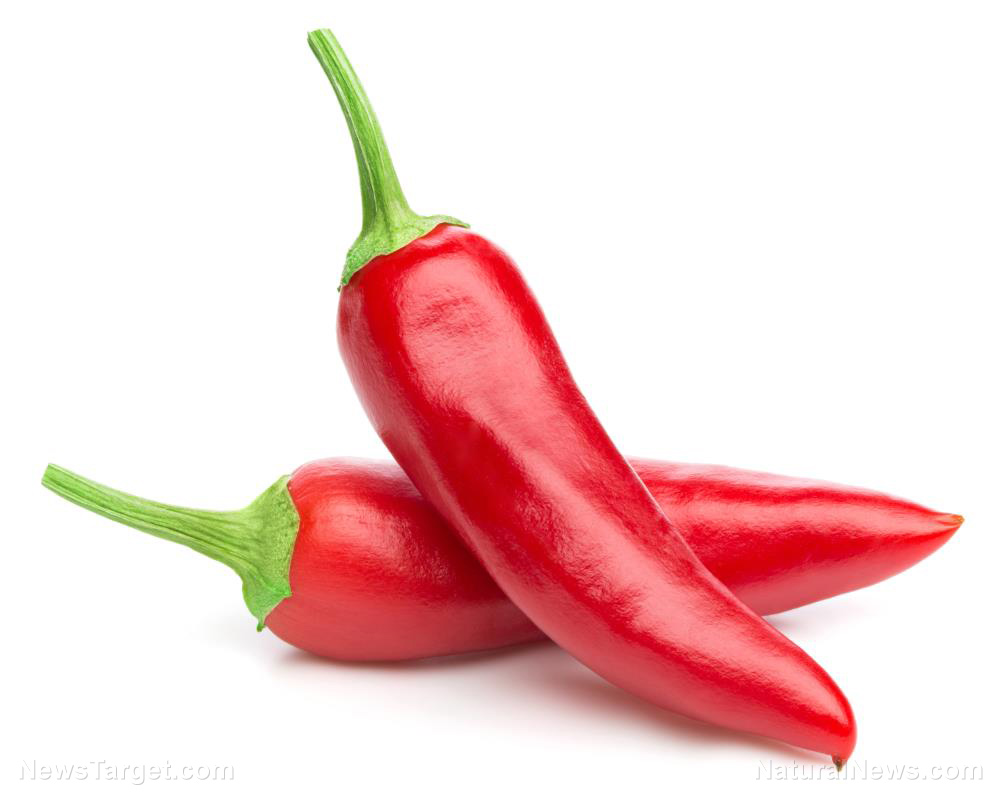 Pepper-Chili-Isolated-Red-Hot-Cayenne-Chile