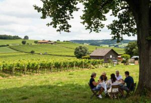 agritourism-destinations-for-summer-travel