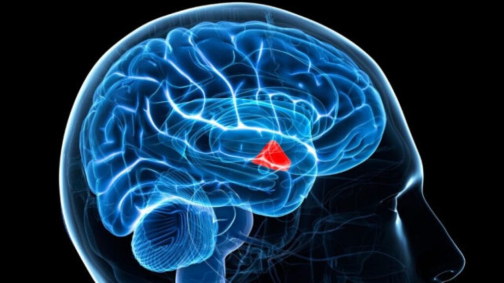 Diabetes-Drug-Affects-Brain