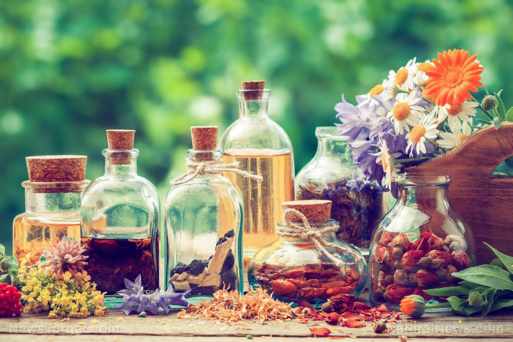 Oil-Essential-Herbal-Homeopathy-Medicine-Potion-Tincture