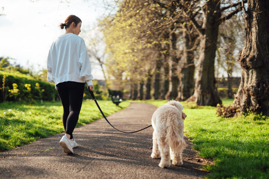 walking-dog-spring-bs-032926-ba1914
