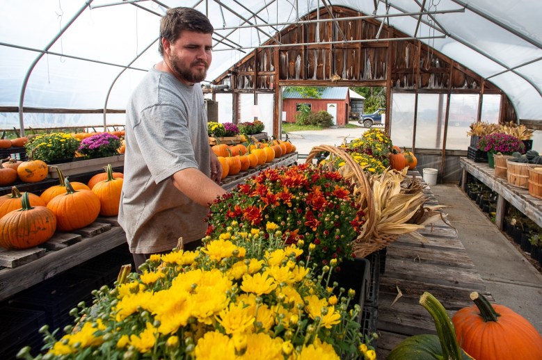 32495417-SJ-NORrestocking-Flowers-SAP-0929221