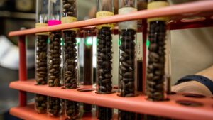 coffee-samples