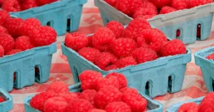 cyclosporiasis-in-ny-and-nj-list-of-foods-linked-t-cyclosporiasis-in-ny-and-nj-list-of-foods-linked