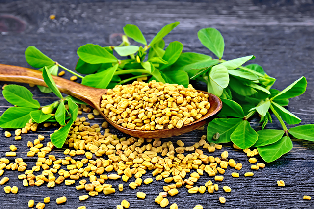 fenugreek-herb-seeds-with-wooden-spoon