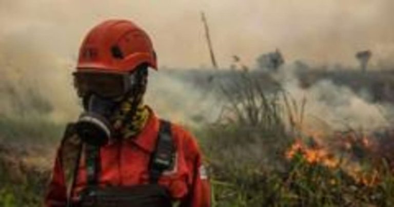Toxic Haze from Wildfires Poses Health Crisis in Southeast Asia