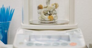 Promising Psilocybin Research: A New Hope Against Chemotherapy Nerve Damage