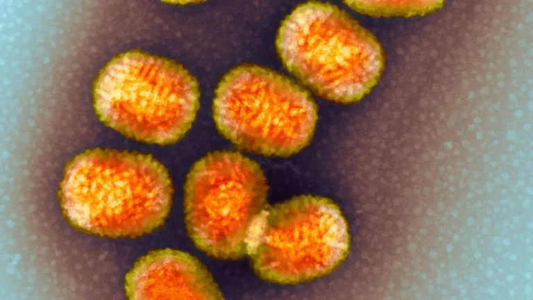 Revealed: Virus Hijacks Human Gene to Enhance Infection Power